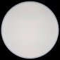 Потолочный светильник Loft IT Axel 10002/24 White