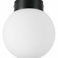 Настенно-потолочный светильник Lightstar Globo 812017