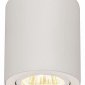 Потолочный светильник Citilux Дюрен CL538111