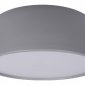 Потолочный светильник Loft IT Axel 10201/350 Grey