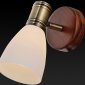 Настенный светильник Toplight Sharyl TL3720Y-01BB