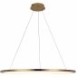 Подвесной светодиодный светильник Loft IT Ring 10014XL