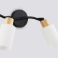 Настенно-потолочный спот Ambrella light TRADITIONAL TR8721