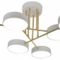 Потолочная светодиодная люстра Escada Rune 10262/6LED