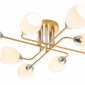 Потолочная люстра Escada Hope 1132/8P Gold