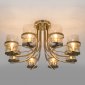 Потолочная люстра Eurosvet Coppa 60085/8