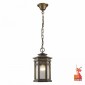 Уличный подвесной светильник Favourite Guards 1458-1P