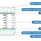 Орма Боннель Ролл 90x200