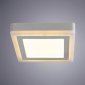 Настенно-потолочный светильник Arte Lamp 7716 A7716PL-2WH