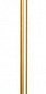 Настенный светодиодный светильник Loft IT Rays 10054GD