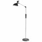 Торшер Lumion Ledio 8331/15FL