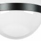 Настенно-потолочный светильник Lightstar Globo 812117