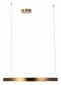 Подвесной светодиодный светильник Loft IT Ring 10013L