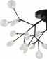 Потолочная люстра Freya Florencia FR5049CL-27B