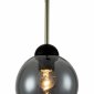 Подвесная люстра Indigo Grappoli 11029/1P Black