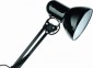 Настольная лампа Arte Lamp Junior A1330LT-1BK