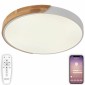 Потолочный светильник Natali Kovaltseva Scandinavian LED LAMPS 81182