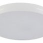 Потолочный светильник Modern LED LAMPS 81332