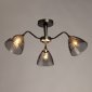 Потолочная люстра De City Альфа 115010303