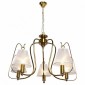 Подвесная люстра Lussole Montana GRLSP-8210