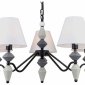 Подвесная люстра Rivoli Alisia 2096-305 Б0066427