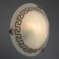 Настенно-потолочный светильник Arte Lamp Antica A3630AP-1AB
