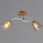 Потолочная люстра  06003-0.3-02 FG+WT