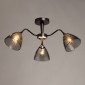 Потолочная люстра De City Альфа 115010303