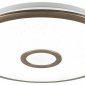 Потолочный светильник Citilux Старлайт CL703A43G