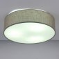 Потолочный светильник Lighthall Turdan 50 LH022031