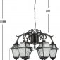 Уличный светильник подвесной Oasis Light FARO 91170/6/16 Bl