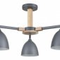 Потолочная люстра Lumion Colange 8096/3C
