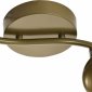 Светодиодный спот Toplight Carissa TL1244Y-02SG