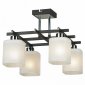 Потолочный светильник Lussole Costanzo LSL-9007-04