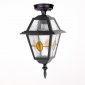 Потолочный светильник уличный Oasis Light FARO lead GLASS 91105A lgY Bl