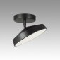 Потолочный светильник Mira Black 7656/12L