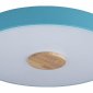 Потолочный светильник Loft IT Axel 10003/24 Blue