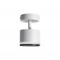 Спот LTP LTP-D001-01GX53-WB