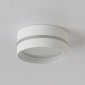 Накладной светильник Ambrella TN TN5391