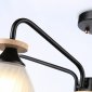 Потолочная люстра TRADITIONAL TR9571