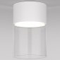 Потолочный светодиодный светильник Elektrostandard Lumen 25047/LED 10W 4000К белый/прозрачный a064710