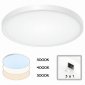Потолочный светодиодный светильник Citilux Бейсик CL738320V