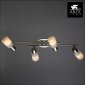 Потолочный светильник Arte Lamp Cavalletta A4510PL-4SS
