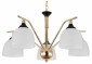 Подвесная люстра Escada Actinidia 2123/5P