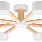 Потолочная люстра Arte Lamp TENDA A1624PL-8WH