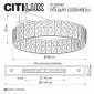 Потолочная люстра Citilux Palant CL325142