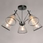 Потолочная люстра DeMarkt Дэла 635015205