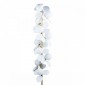 Торшер Loft IT Matisse 10008F white