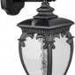 Настенный фонарь уличный Oasis Light VERONA 86202/02 Bl