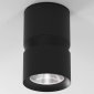 Потолочный светодиодный светильник Elektrostandard Kayo 25049/LED 12W 4000К черный a064729